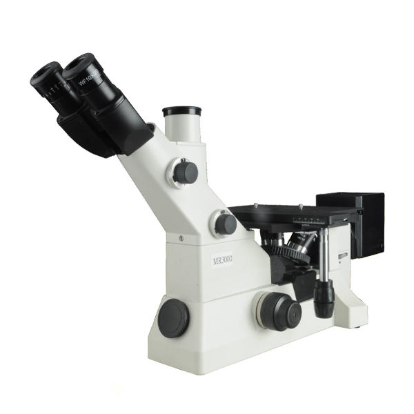 MS 300D Mikroskop