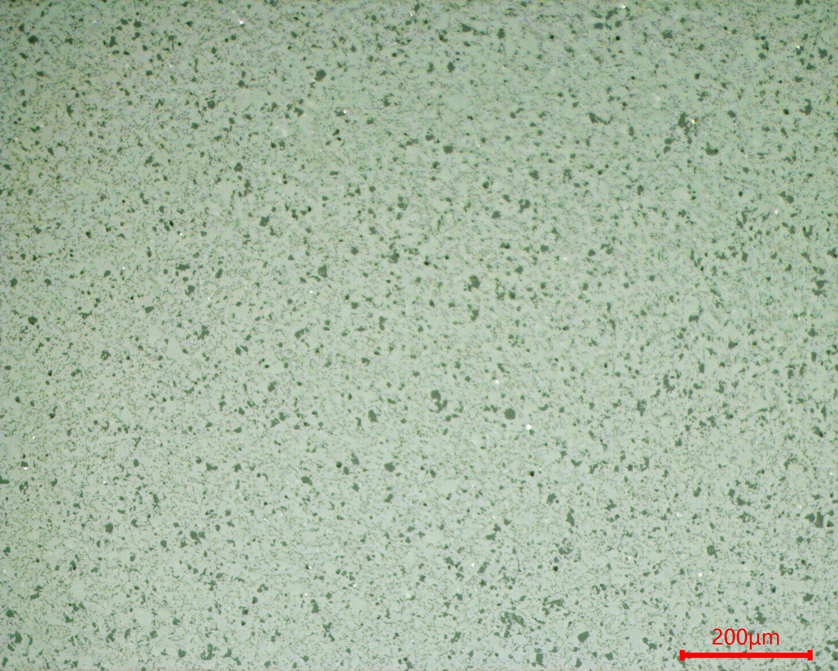 Alumina ceramic microstructure overview at 200um scale